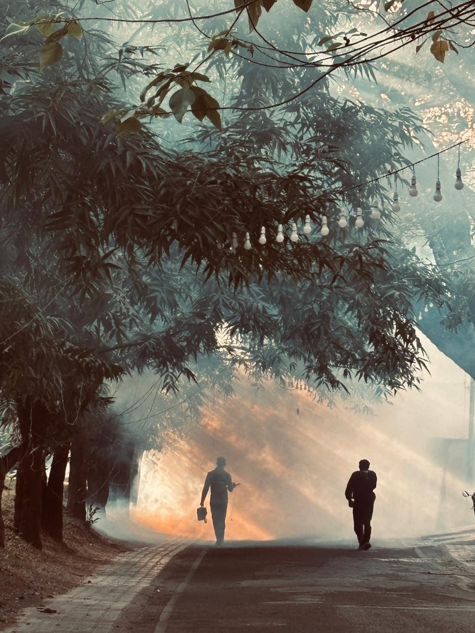 Sunray Smoke